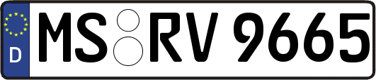MS-RV9665