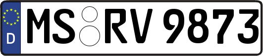 MS-RV9873