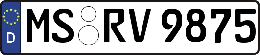 MS-RV9875