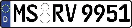MS-RV9951