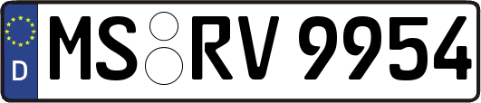 MS-RV9954
