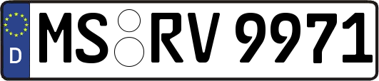 MS-RV9971