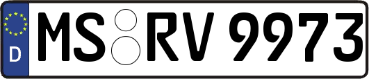 MS-RV9973