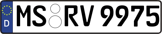 MS-RV9975