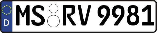 MS-RV9981