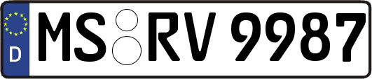 MS-RV9987