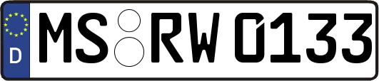 MS-RW0133