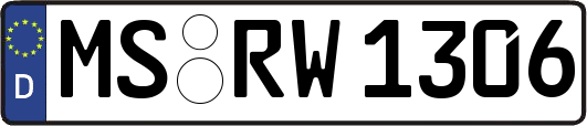 MS-RW1306