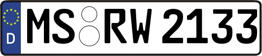 MS-RW2133