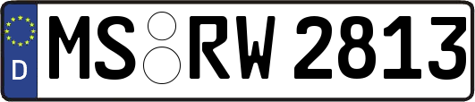 MS-RW2813