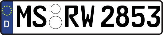 MS-RW2853