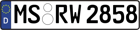 MS-RW2858
