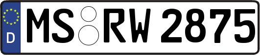 MS-RW2875
