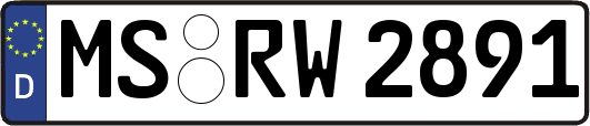 MS-RW2891