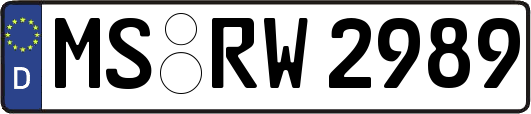 MS-RW2989