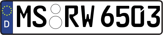 MS-RW6503