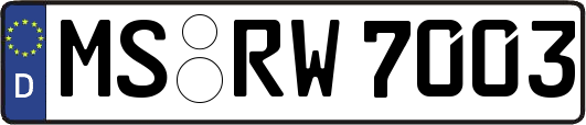 MS-RW7003