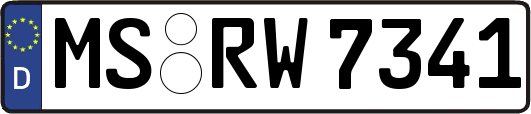 MS-RW7341