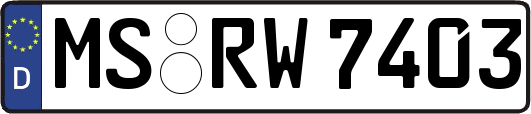 MS-RW7403