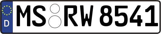 MS-RW8541