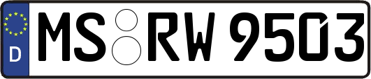 MS-RW9503