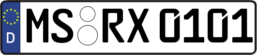 MS-RX0101