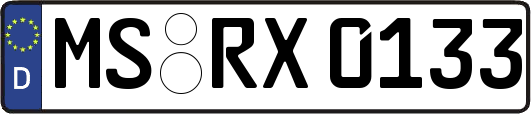 MS-RX0133