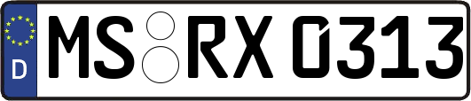 MS-RX0313