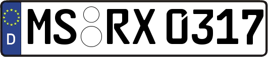MS-RX0317
