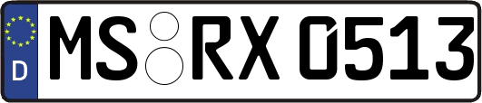 MS-RX0513