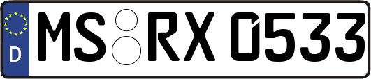 MS-RX0533