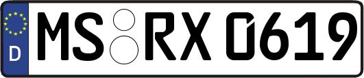 MS-RX0619