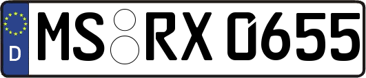 MS-RX0655
