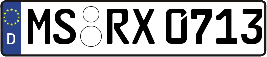 MS-RX0713