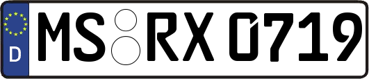 MS-RX0719
