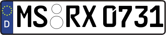 MS-RX0731