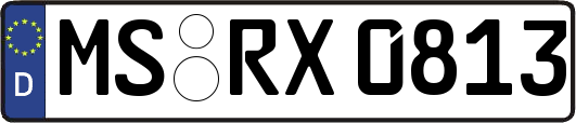 MS-RX0813