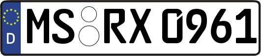 MS-RX0961