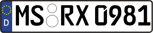 MS-RX0981