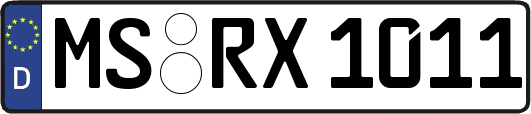 MS-RX1011