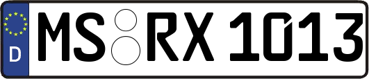 MS-RX1013