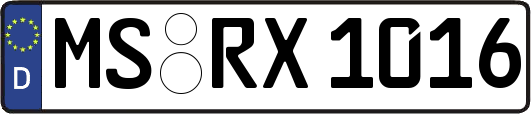 MS-RX1016