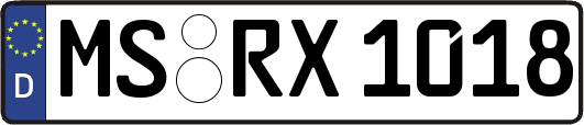 MS-RX1018