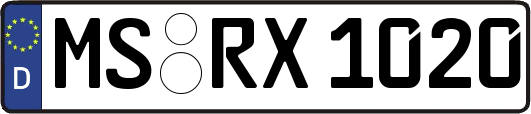 MS-RX1020