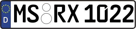 MS-RX1022