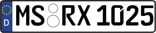 MS-RX1025