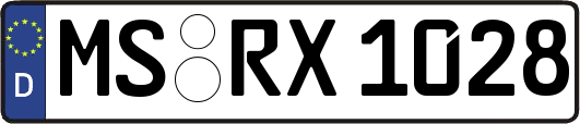 MS-RX1028