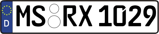 MS-RX1029