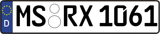 MS-RX1061