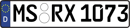 MS-RX1073